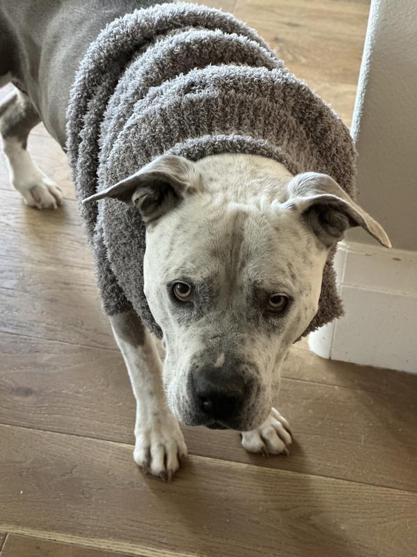 Ok for little bitty stuffed animals.