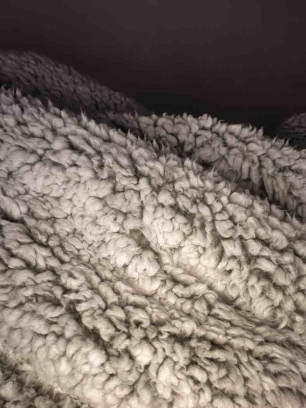 Review Thumbnail Image 0 249256566