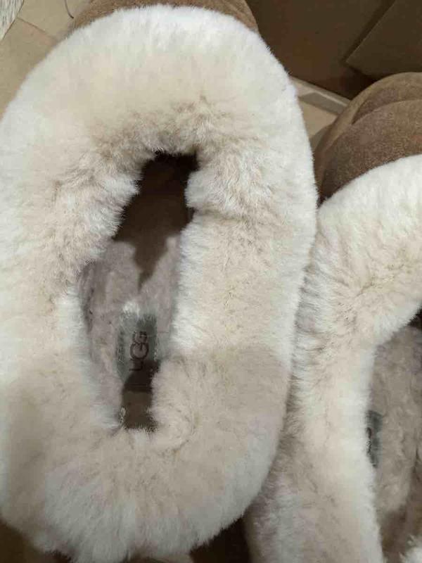 Review Thumbnail Image 3 248087675