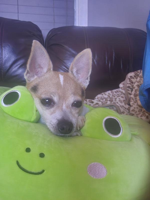 Review Thumbnail Image 1 238368104