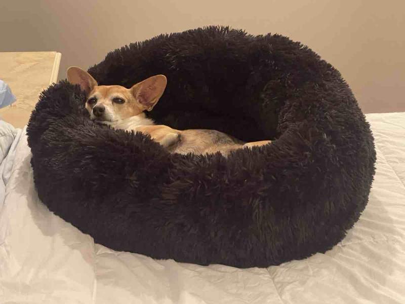 Review Thumbnail Image 0 234493969