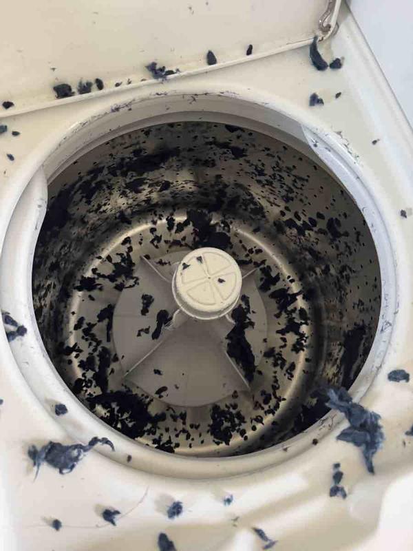 Review Thumbnail Image 1 246663277