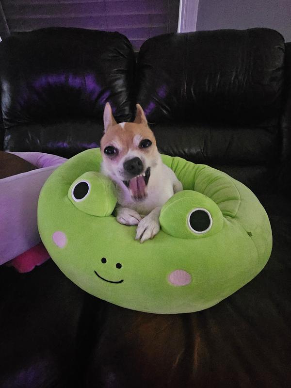 Review Thumbnail Image 0 238368104