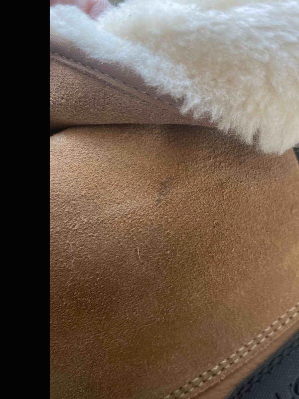 Review Thumbnail Image 1 245402619