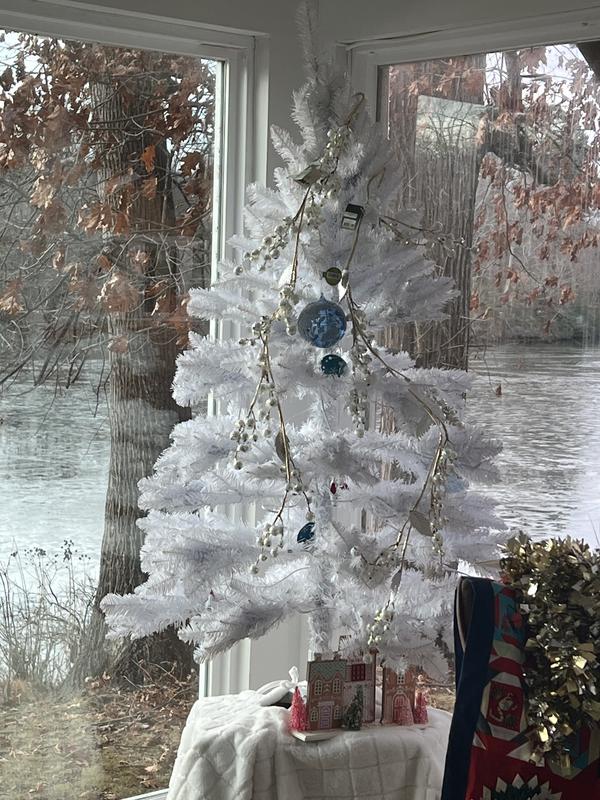 Review Thumbnail Image 0 238582976