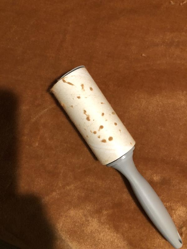 Review Thumbnail Image 1 241075781