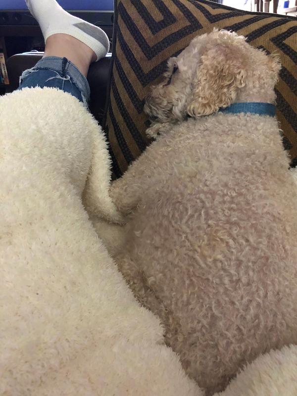 Review Thumbnail Image 0 181404297