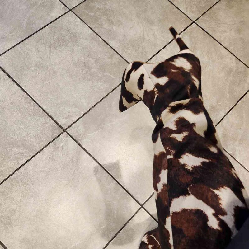 Review Thumbnail Image 0 247544144