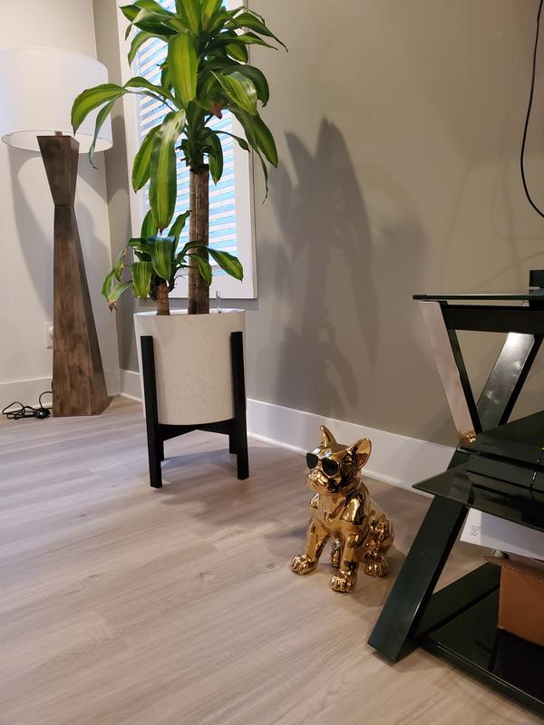 Review Thumbnail Image 0 205186371