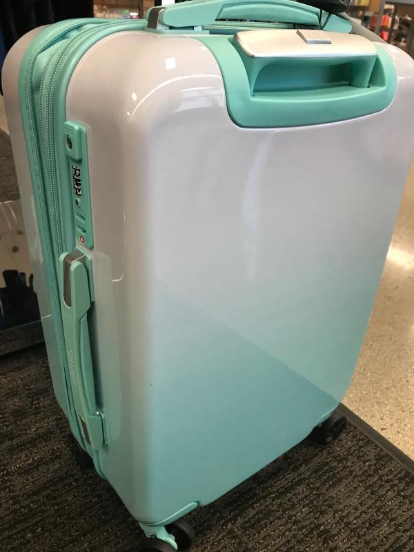 calpak mint luggage