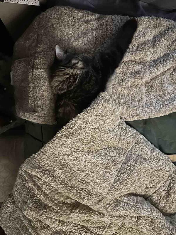 Review Thumbnail Image 3 244369300