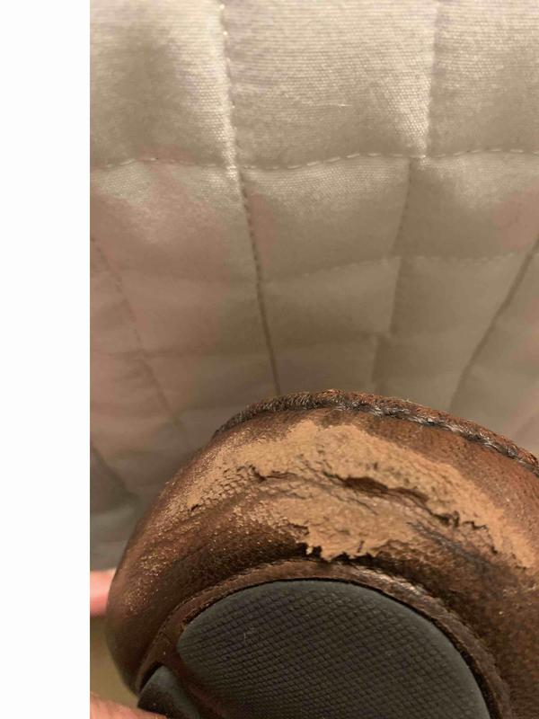 Review Thumbnail Image 0 235386925