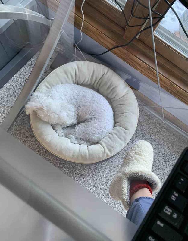 Review Thumbnail Image 0 218831530