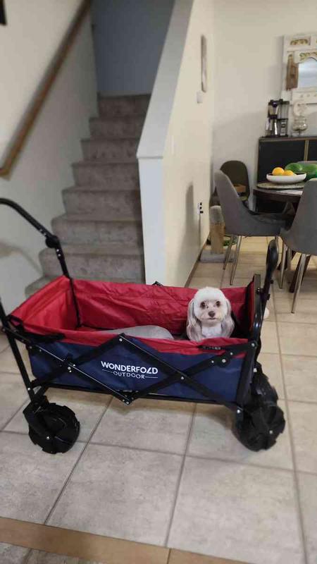 Review Thumbnail Image 0 229624985