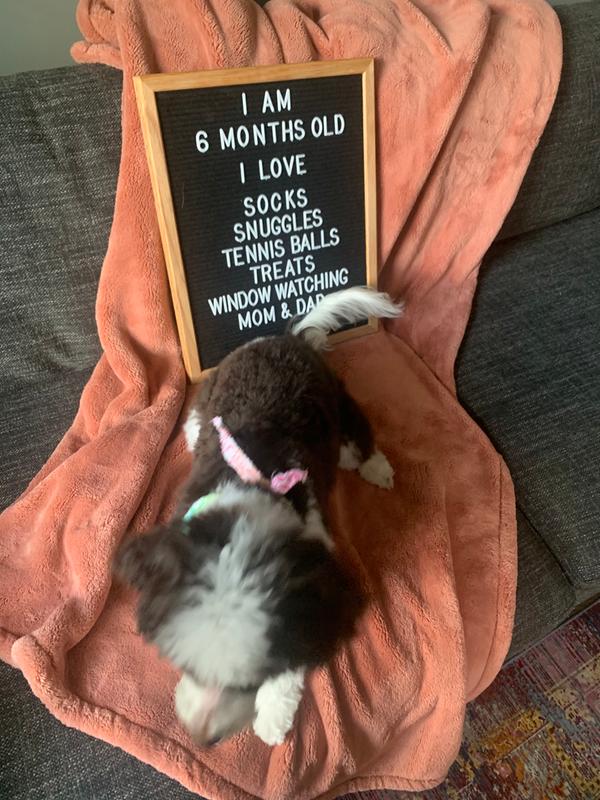 Review Thumbnail Image 1 196739421