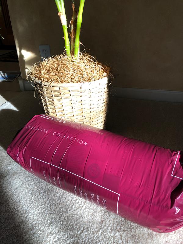 Review Thumbnail Image 0 194980506