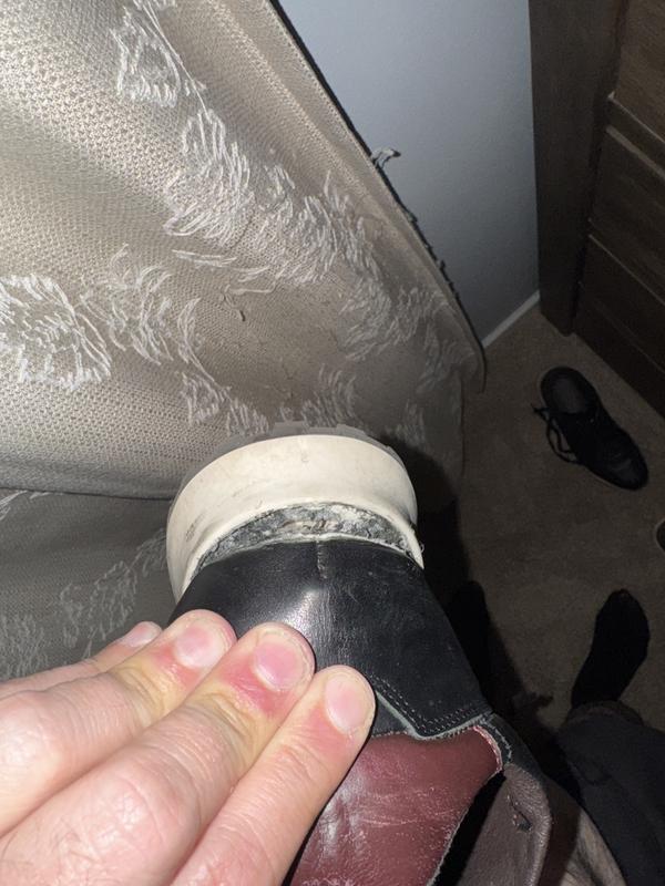 Review Thumbnail Image 0 237973859