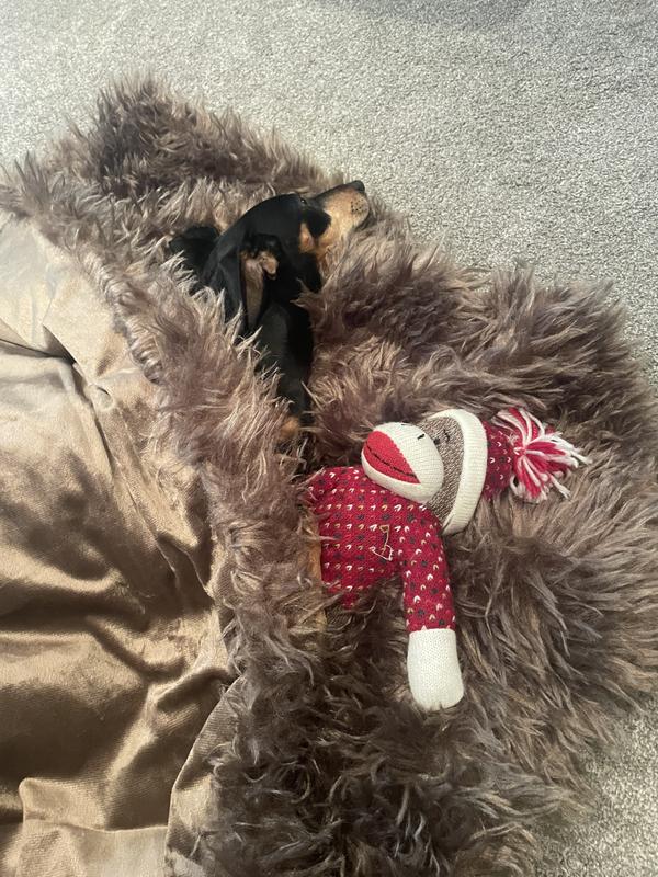 Review Thumbnail Image 0 237244888