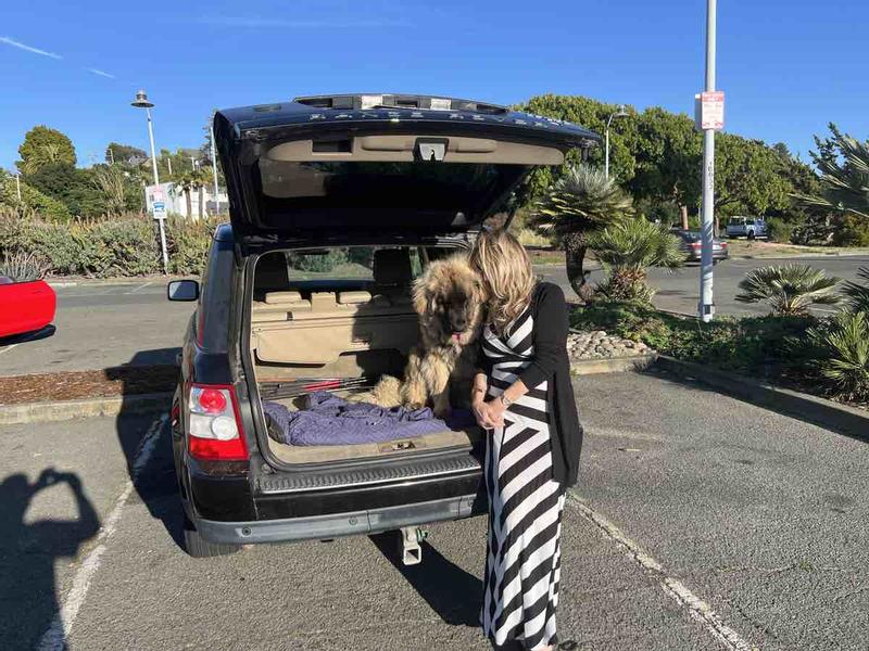 This dress fits like a glove