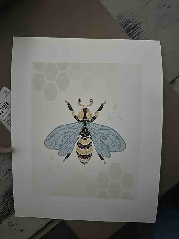 Review Thumbnail Image 0 247898932