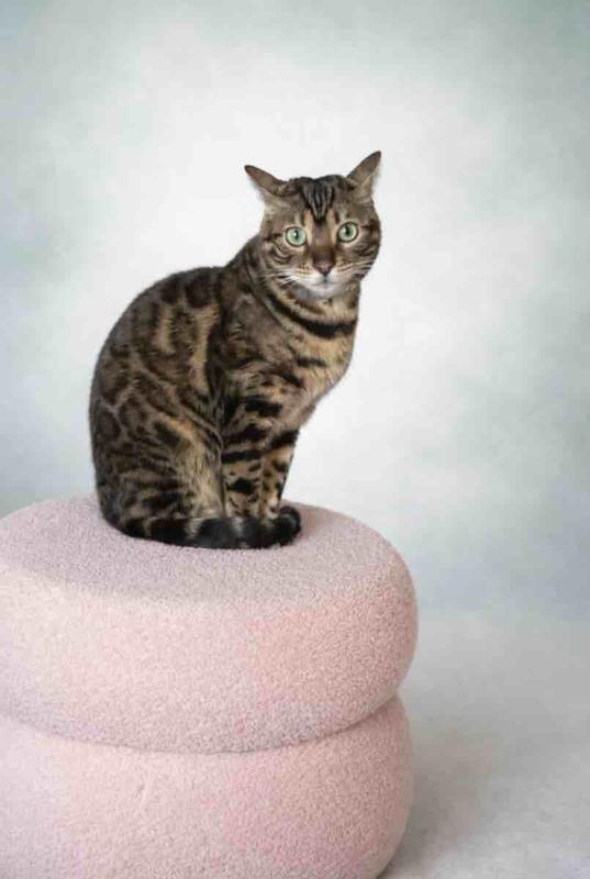 Review Thumbnail Image 4 247899397