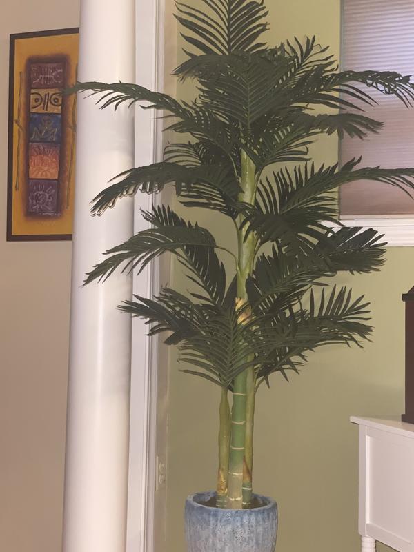 Review Thumbnail Image 0 224594427