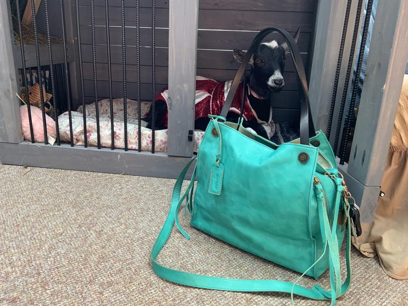 Review Thumbnail Image 0 202797181