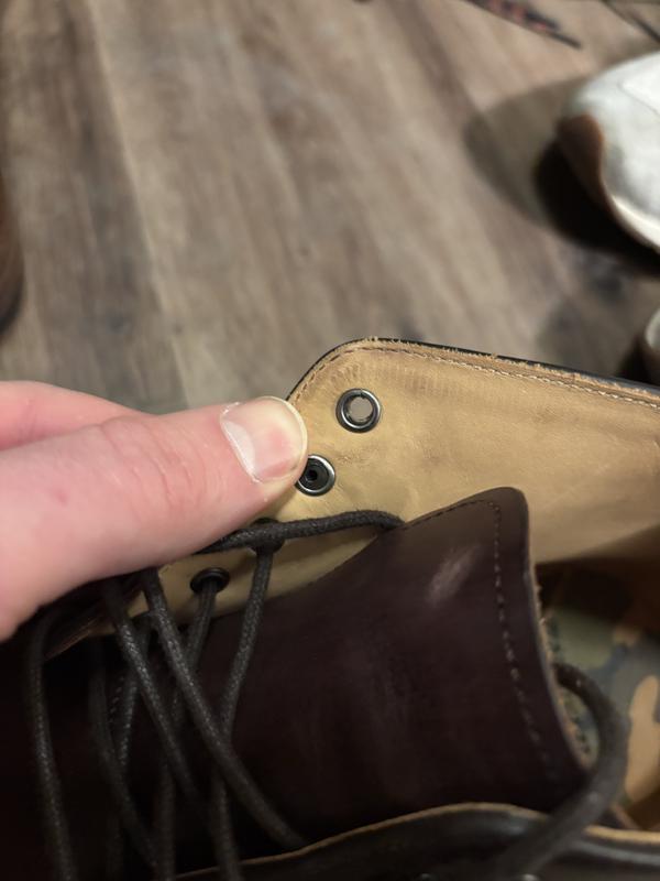 Review Thumbnail Image 1 239412456