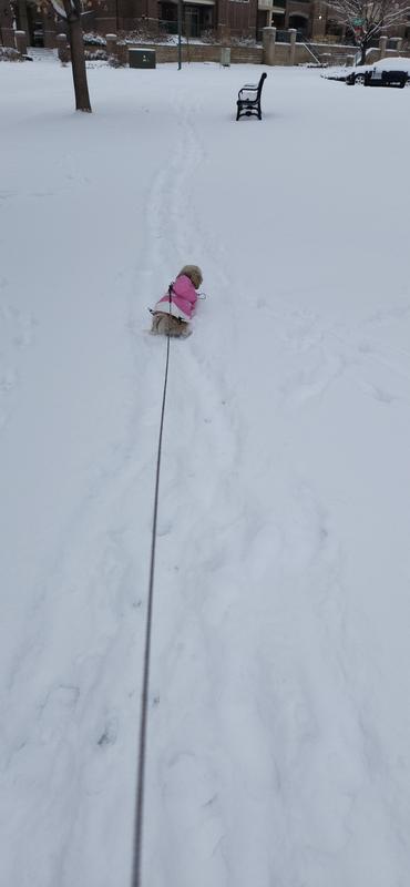 Review Thumbnail Image 1 231328000