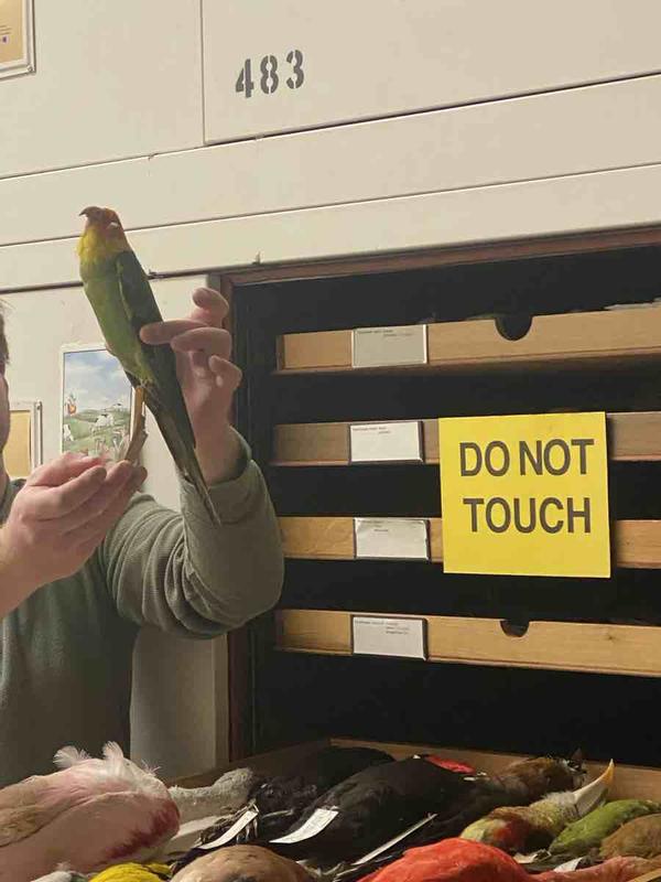 Review Thumbnail Image 0 231051737