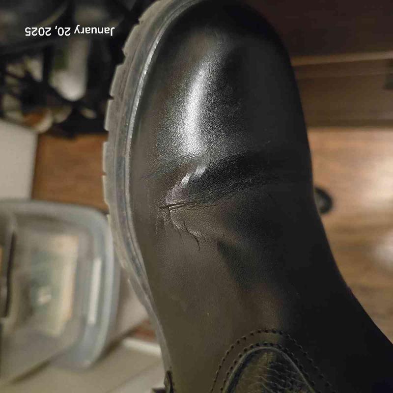 Review Thumbnail Image 0 239223970