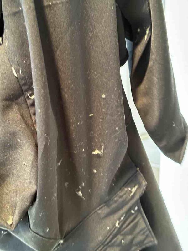 Review Thumbnail Image 0 234857853