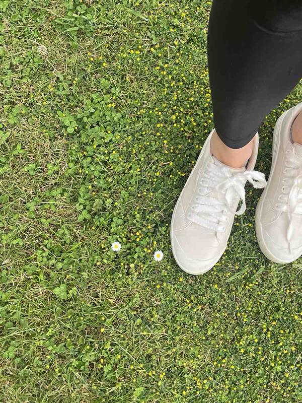 adventure through Europe