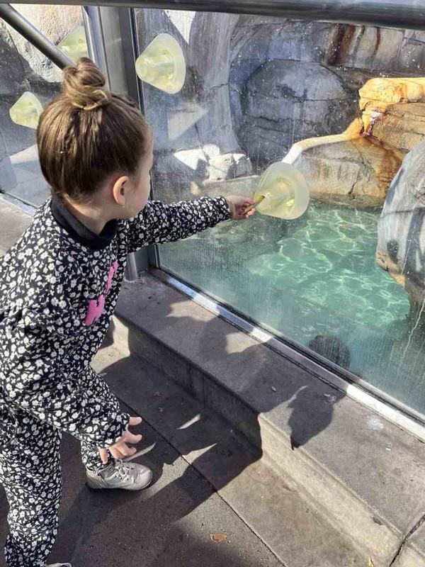 Review Thumbnail Image 0 239090566