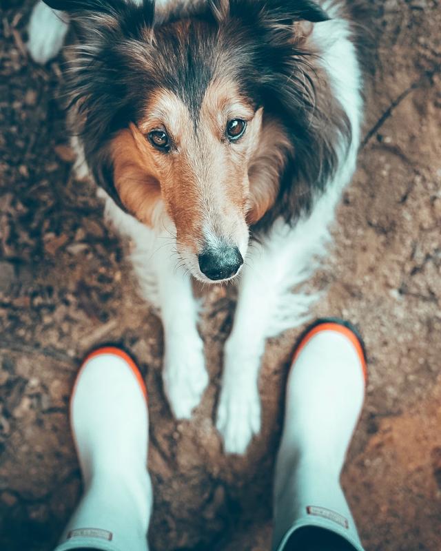 Review Thumbnail Image 0 191689072