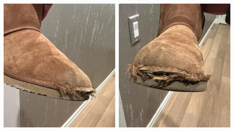 Customer photo for "Less than 50 days after delivery"