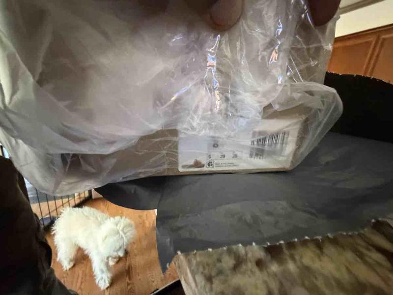 Review Thumbnail Image 2 248900543