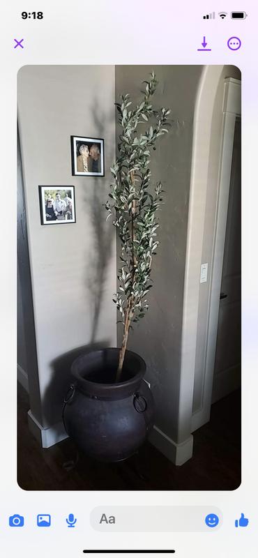 Review Thumbnail Image 0 225090995