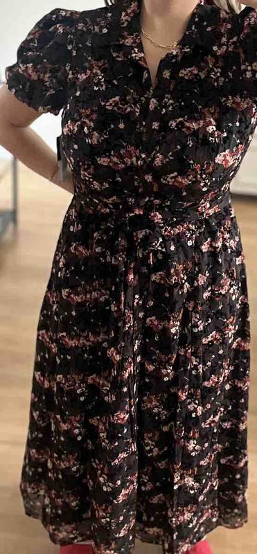 Review Thumbnail Image 0 239358959