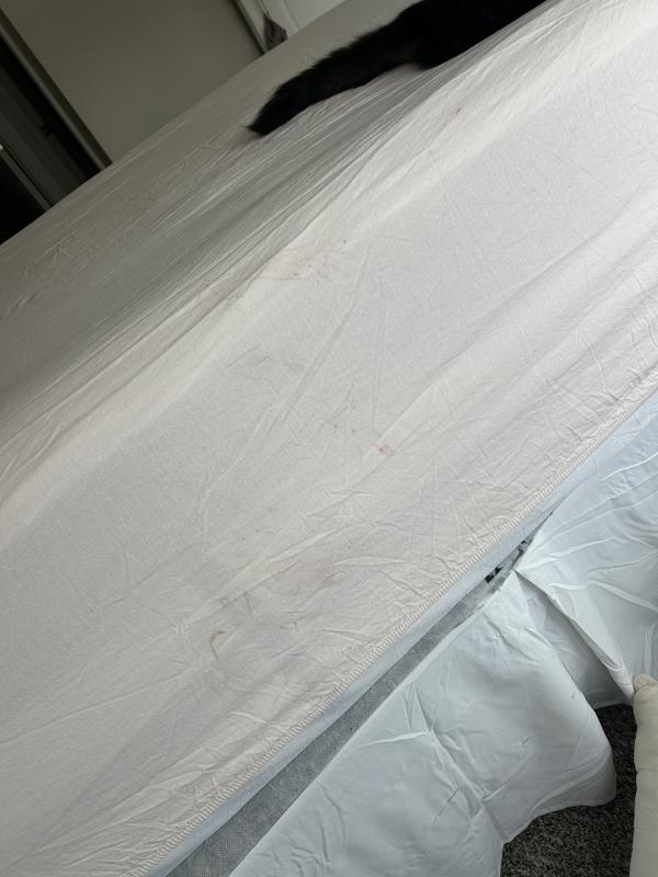 Review Thumbnail Image 3 248174447