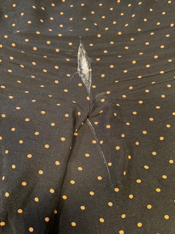 Review Thumbnail Image 0 236816695