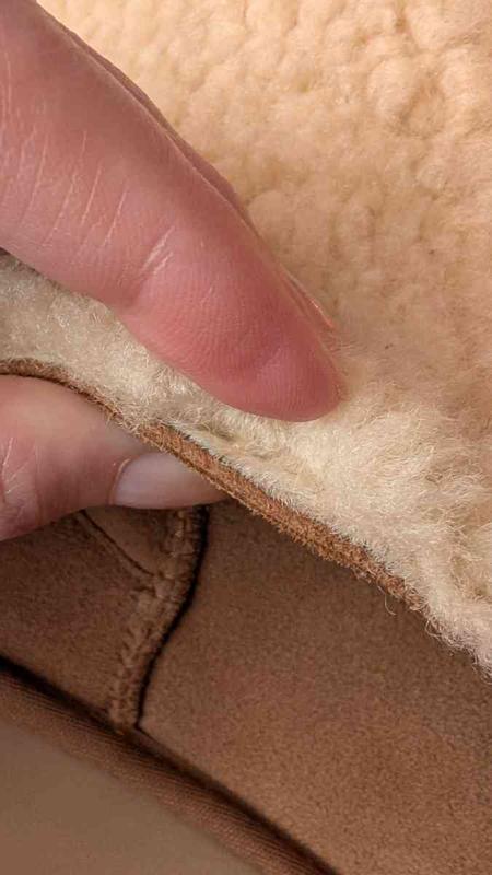 Review Thumbnail Image 1 246202019