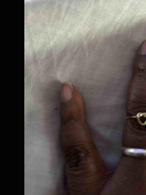 Review Thumbnail Image 1 244222033