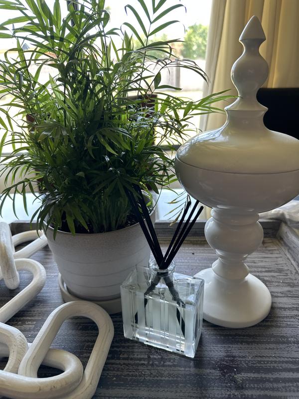 Customer photo for "Spring Scent without the Pollen"