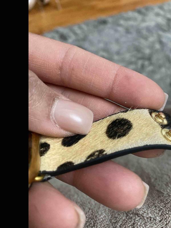 Review Thumbnail Image 0 248241953