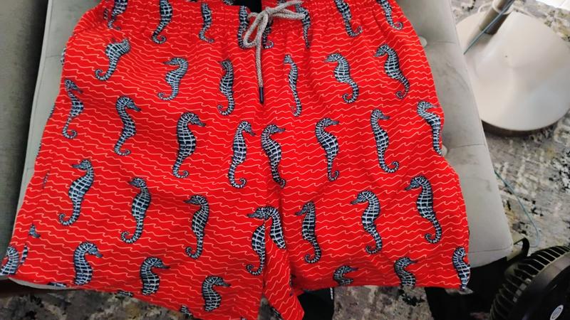 Review Thumbnail Image 0 237079205