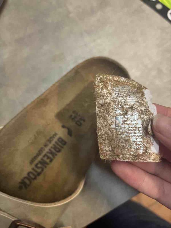 Review Thumbnail Image 0 241823934