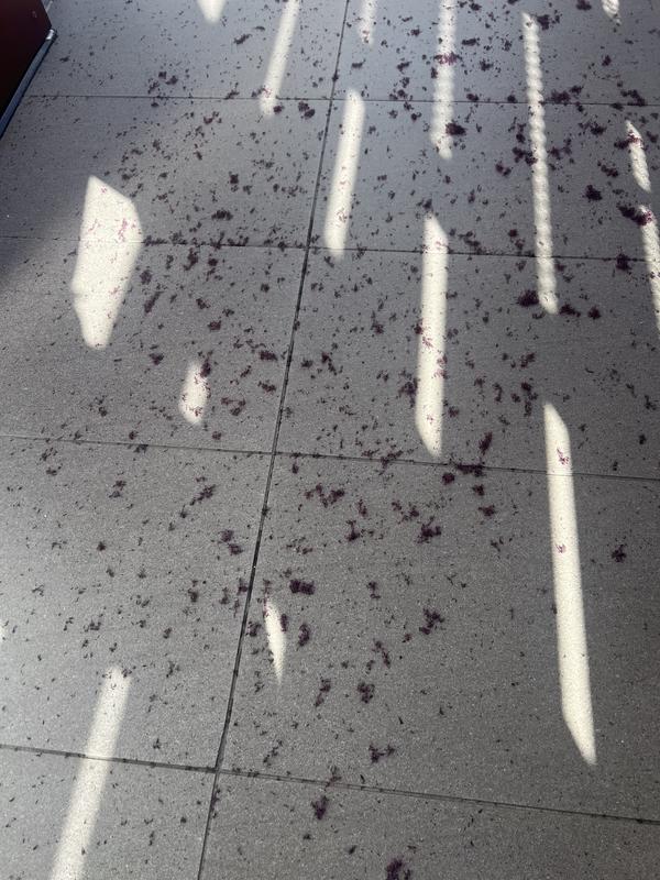 Review Thumbnail Image 0 240663176