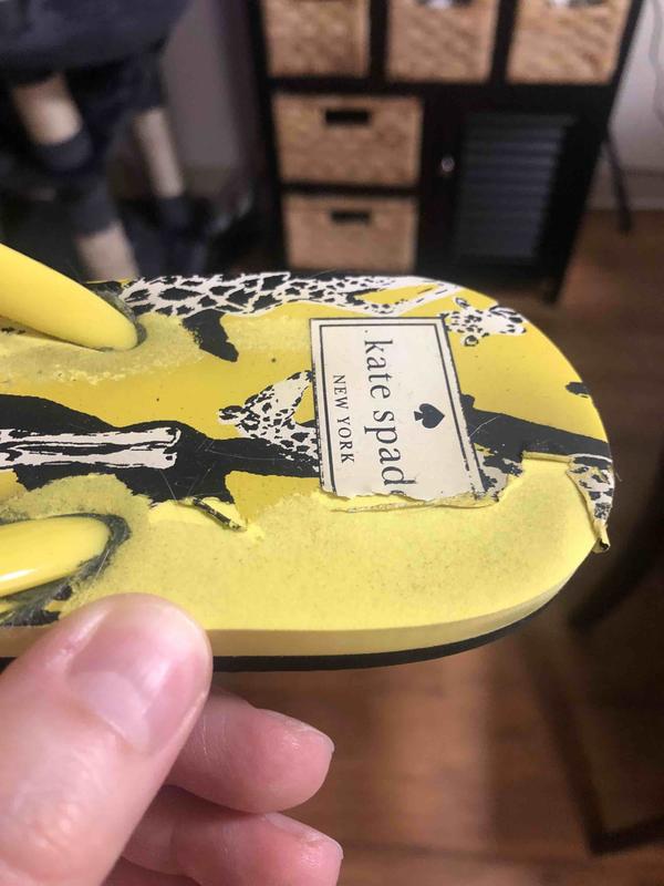 Review Thumbnail Image 0 210459480