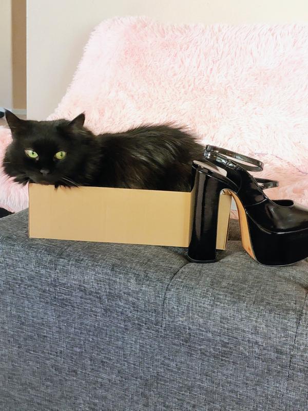 Review Thumbnail Image 0 239104509